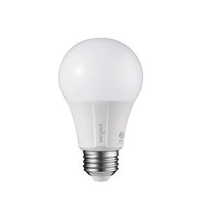 lightbulb